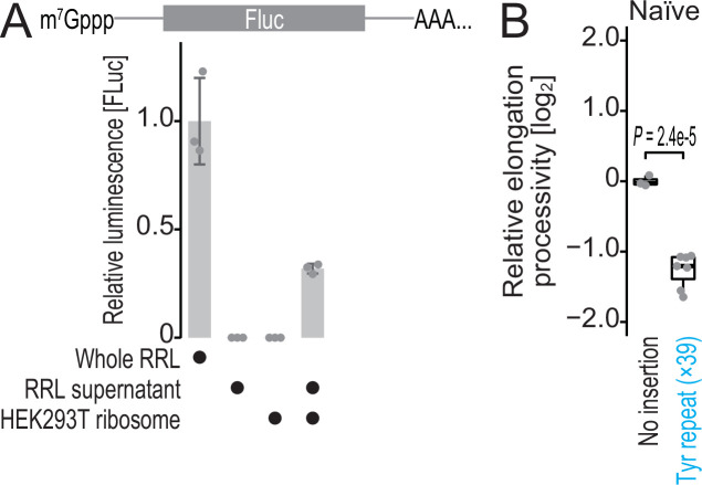 Figure 5—figure supplement 1.