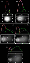 Fig. 2