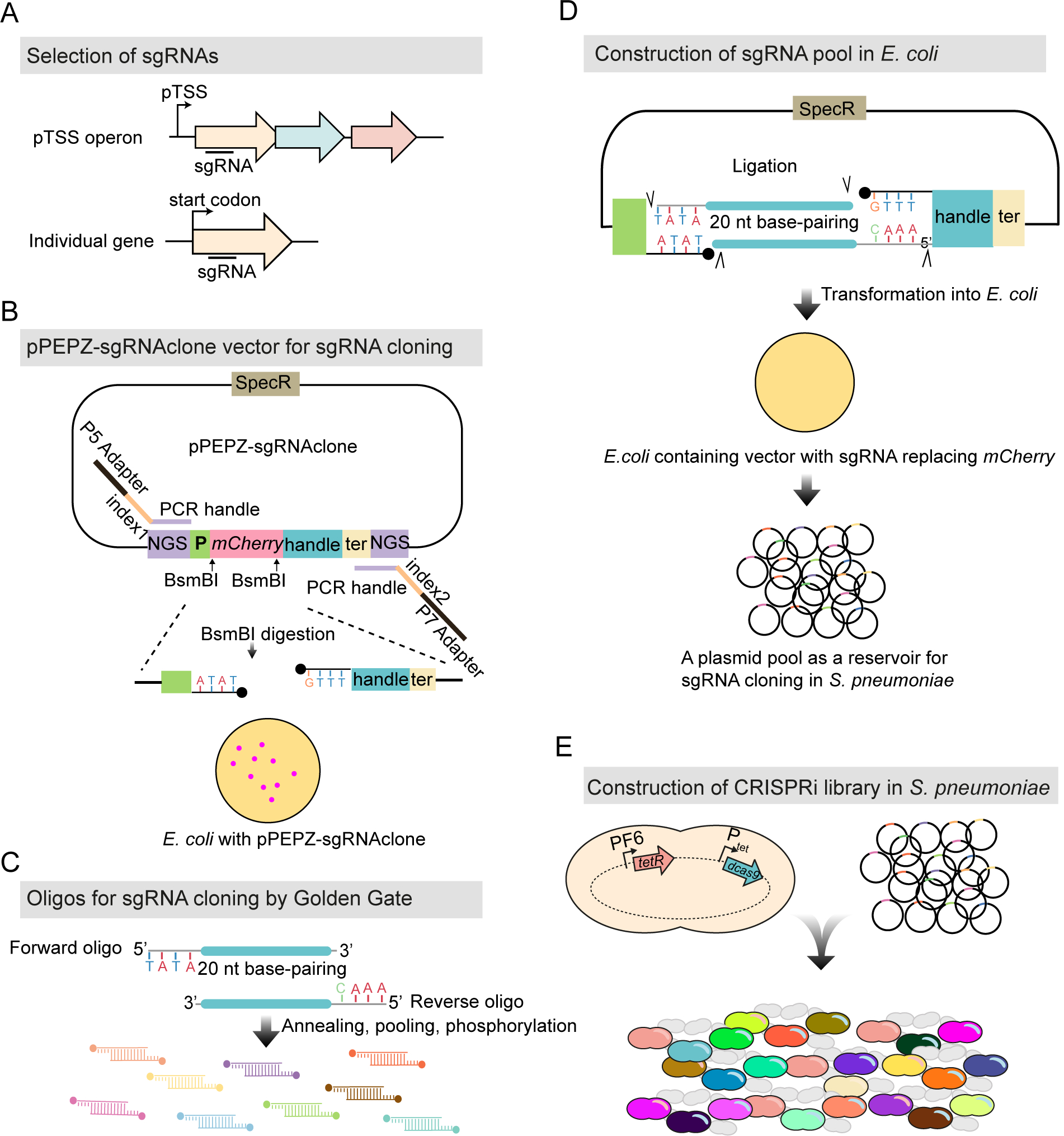 Figure 2.