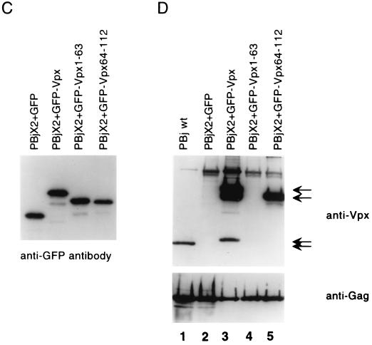 FIG. 6