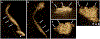 Fig. 10