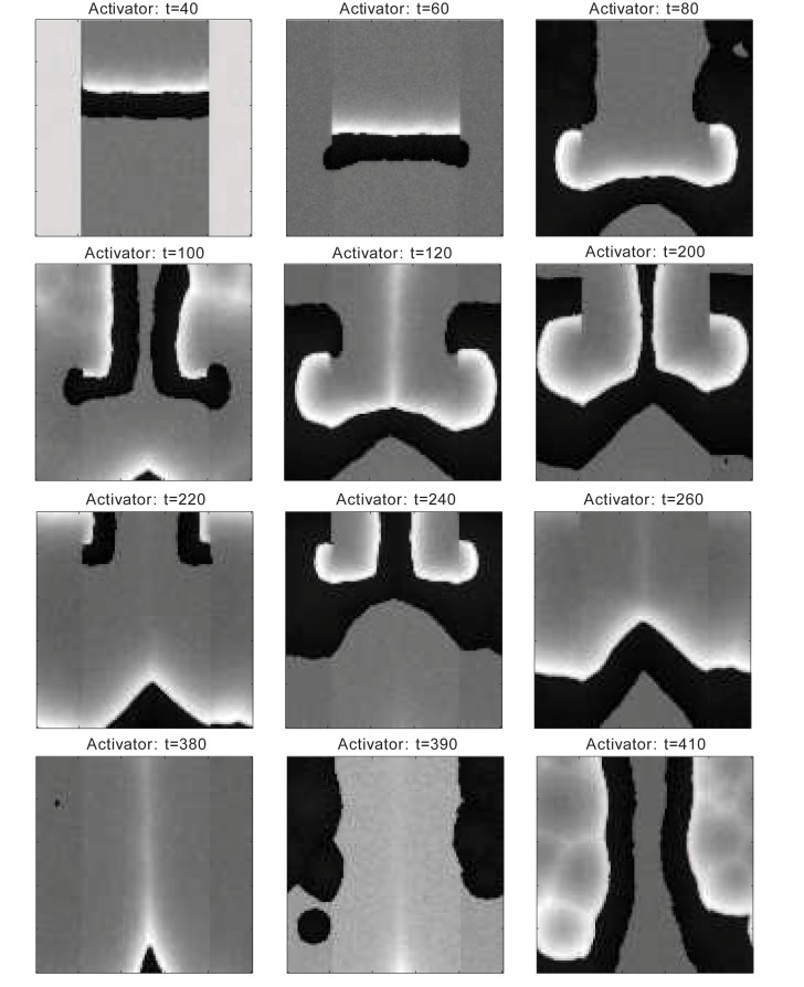 Appendix 2—figure 35.