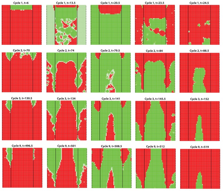 Appendix 2—figure 29.