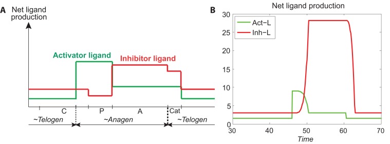 Appendix 2—figure 3.