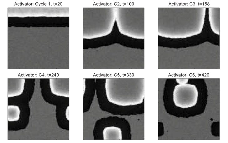 Appendix 2—figure 36.