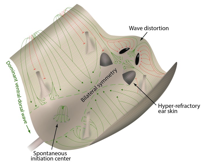 Appendix 1—figure 29.