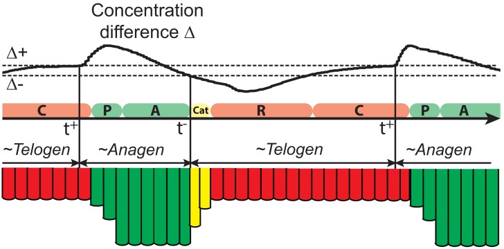 Appendix 2—figure 2.