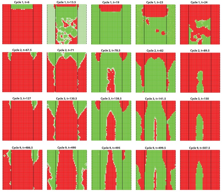 Appendix 2—figure 30.