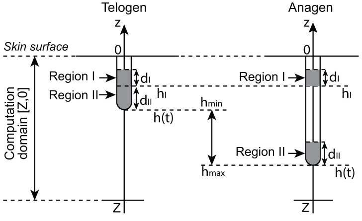 Appendix 2—figure 1.