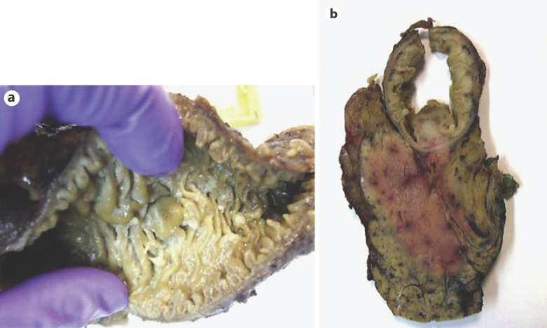 Fig. 8