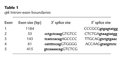 graphic file with name JCI0214099.t1.jpg