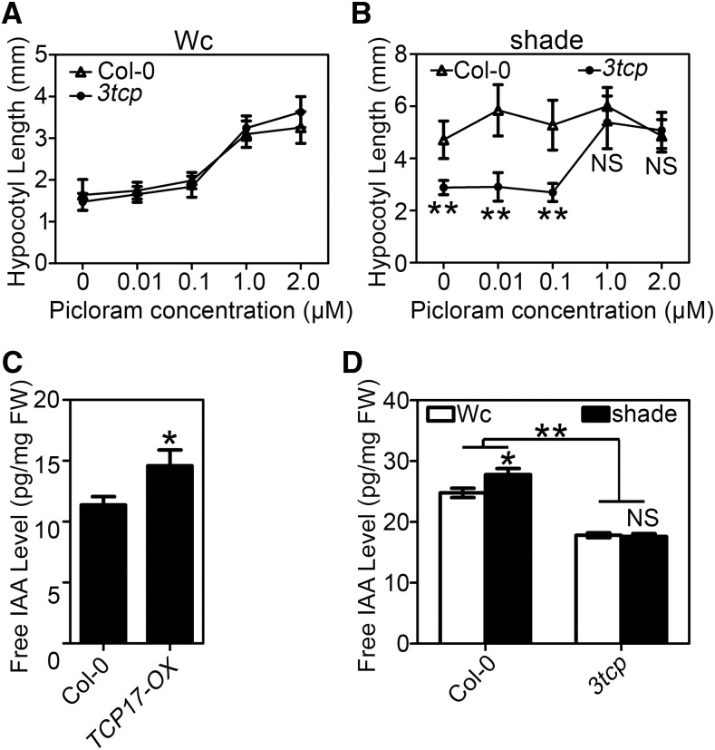 Figure 3.