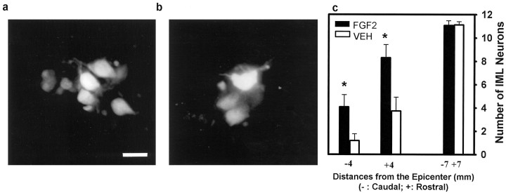 Fig. 9.