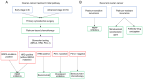 Figure 1. Ovarian cancer treatment flow chart. Treatment for (A) initial and (B) recurrent ovarian cancer. HRD, homologous recombination deficiency; PD–L1, programmed death ligand 1; PARP, poly(ADP–ri...