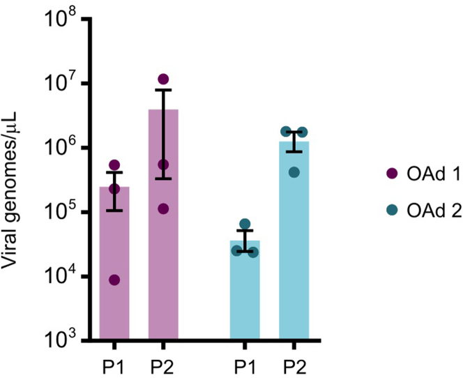 Figure 2