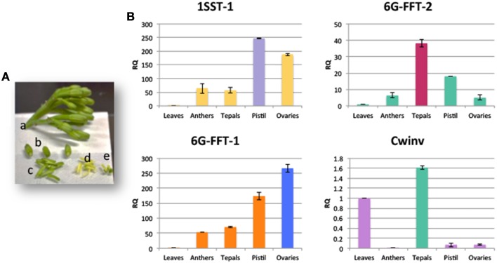 Figure 5