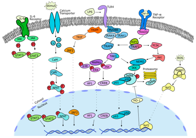 Figure 11