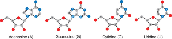 FIGURE 1