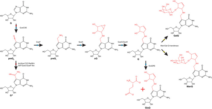 FIGURE 6