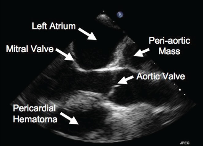 Figure 1)