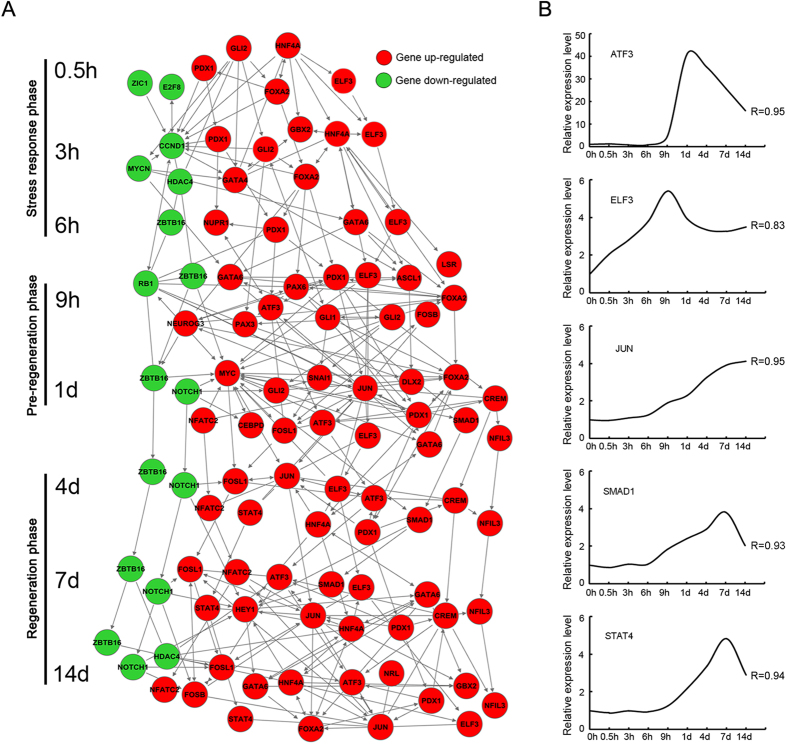 Figure 6