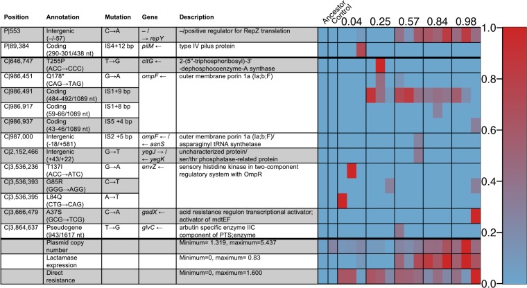 FIG 6