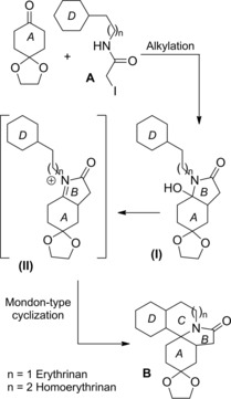 Scheme 180