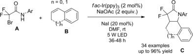 Scheme 172