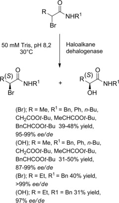 Scheme 20