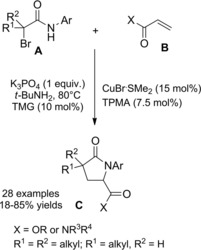 Scheme 170