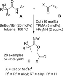 Scheme 165