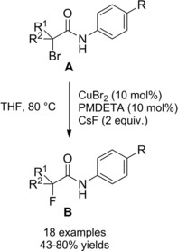 Scheme 204