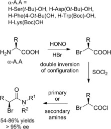 Scheme 15