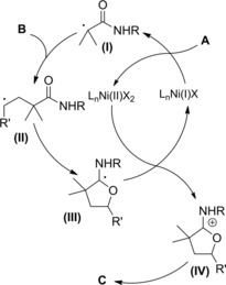 Scheme 163