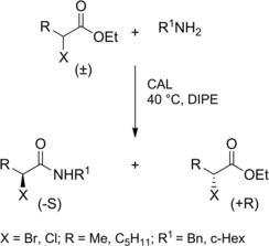 Scheme 19