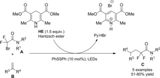 Scheme 81