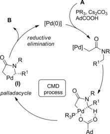 Scheme 51