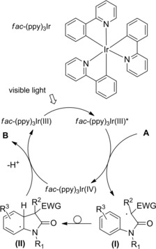 Scheme 146