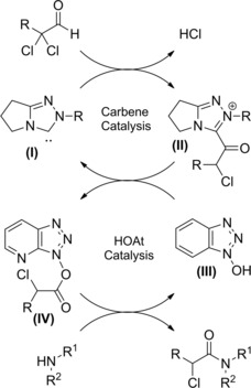 Scheme 8