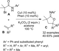 Scheme 164