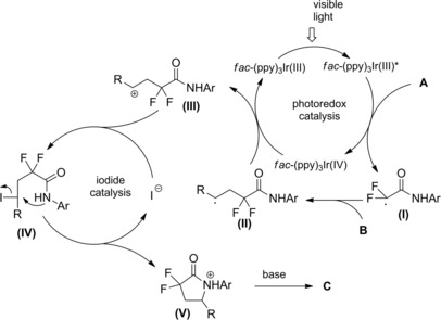 Scheme 173