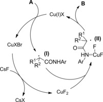 Scheme 205