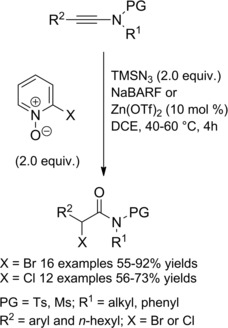 Scheme 13