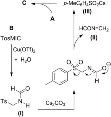 Scheme 203