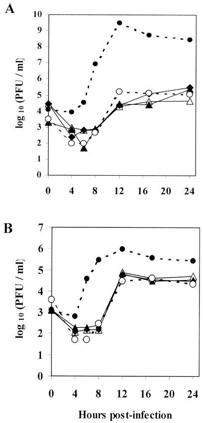 FIG. 1.