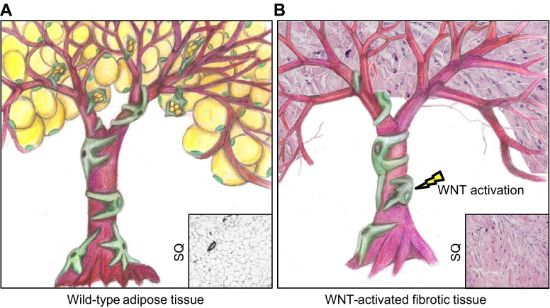 Fig. 5.