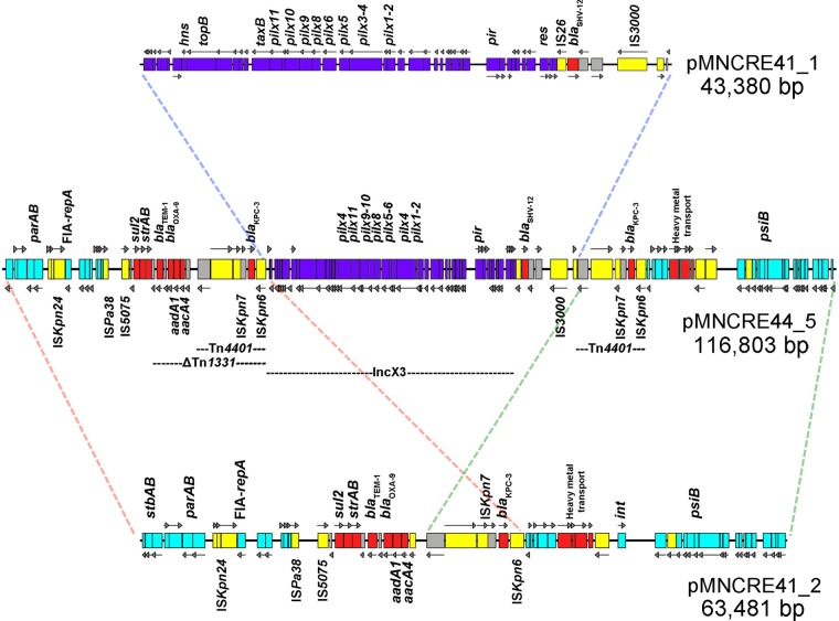 FIG 6