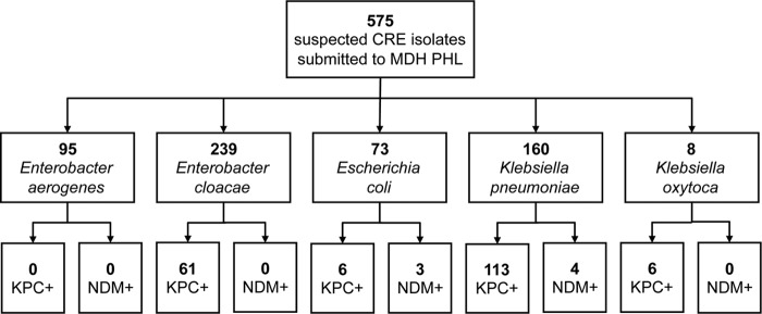 FIG 1