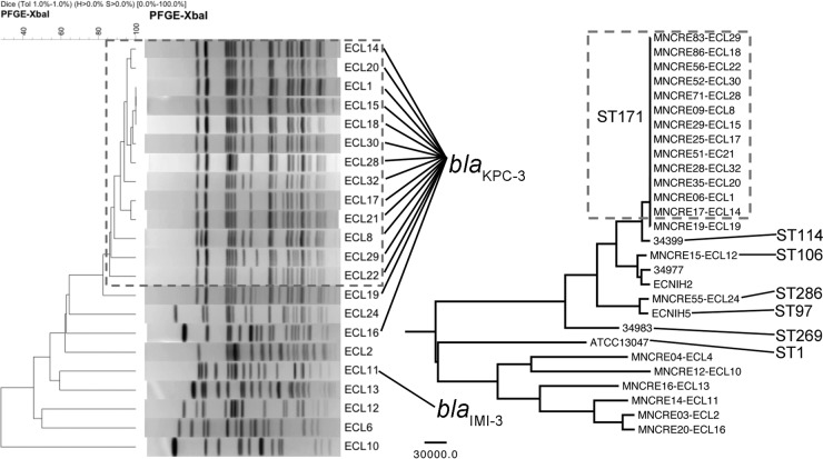 FIG 2