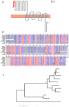 Fig 1